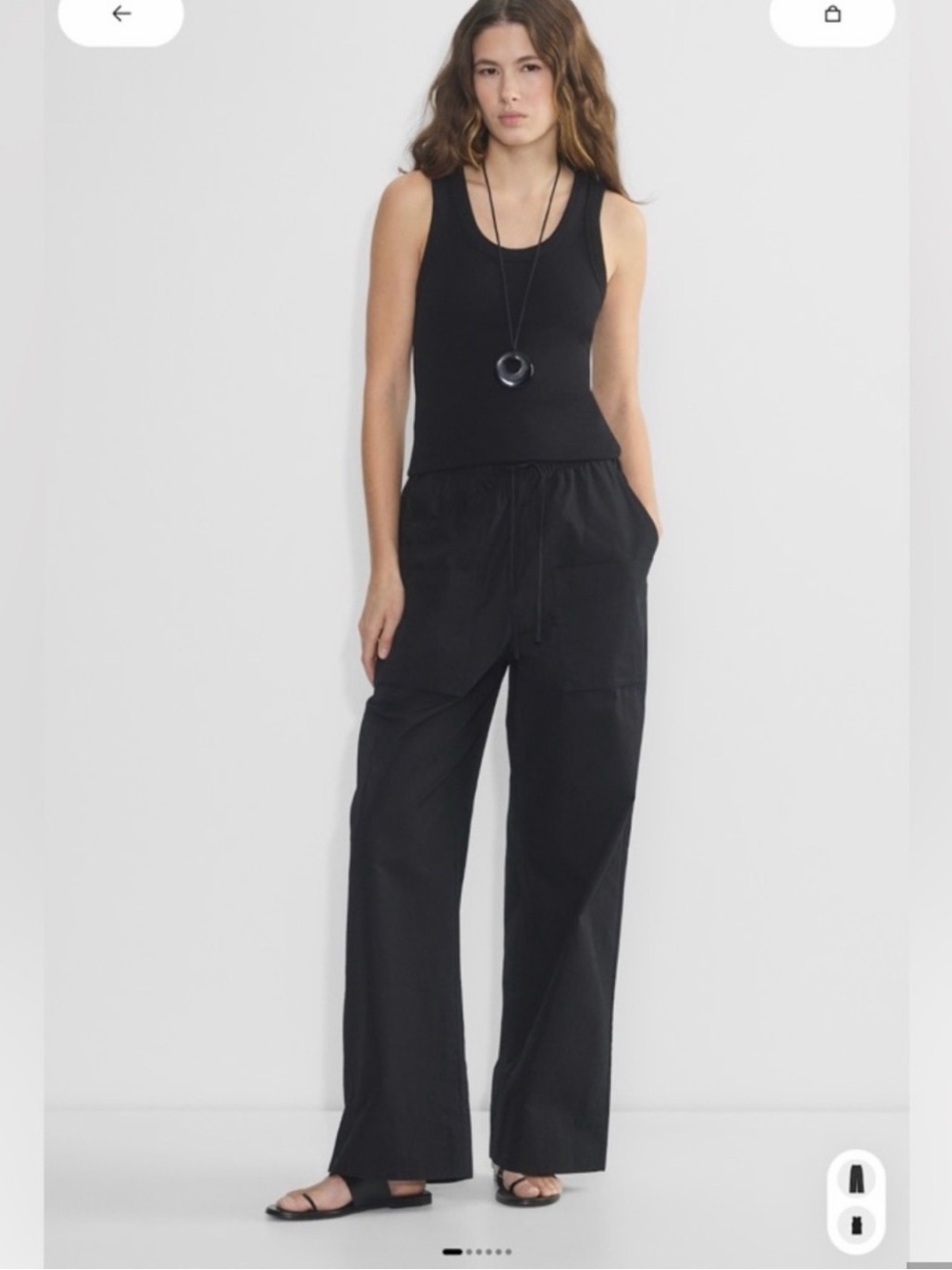 Babaton by Aritzia System Poplin Pant